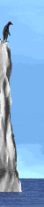 pinguino tuffo.gif